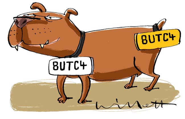 Dog registration